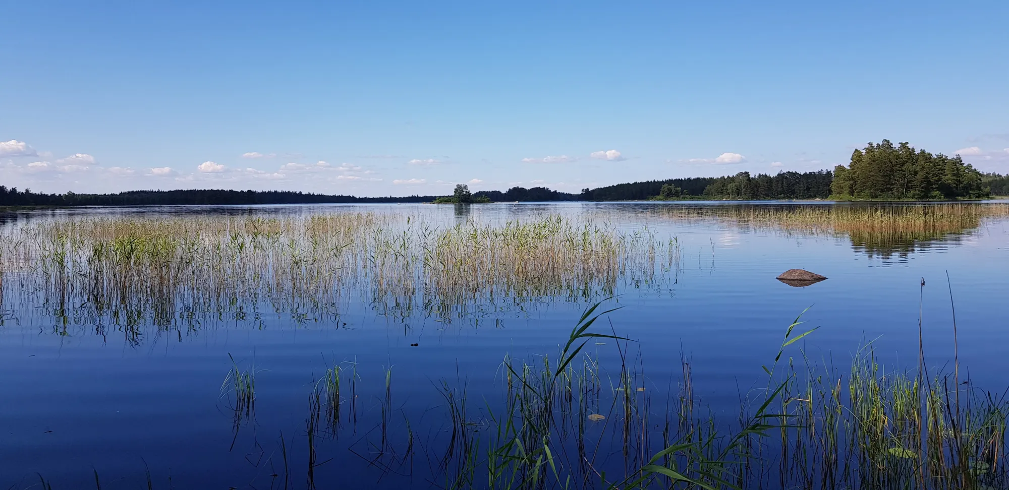 Vy över sjön Åsnen