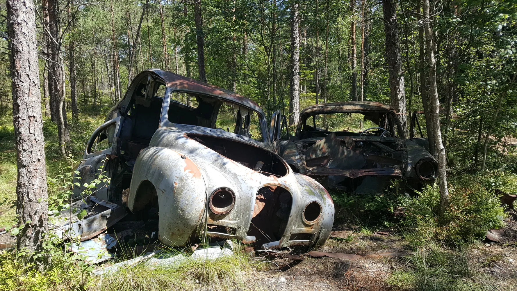 En gammal rostig bil utan hjul som står i grönska