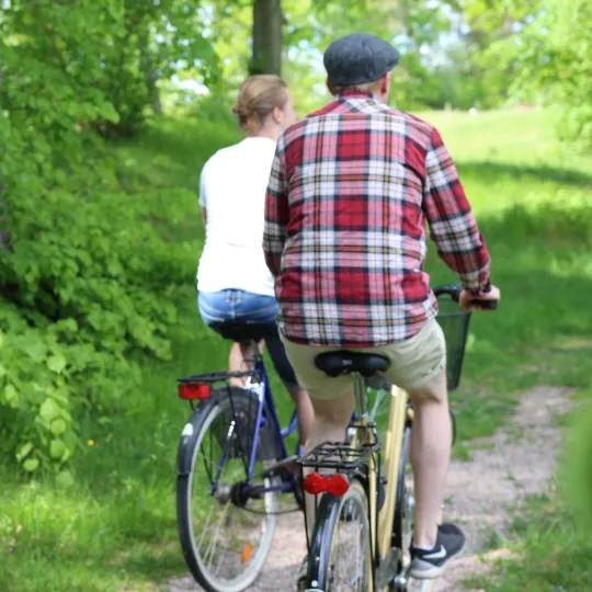 Två personer som cyklar i en bokskog